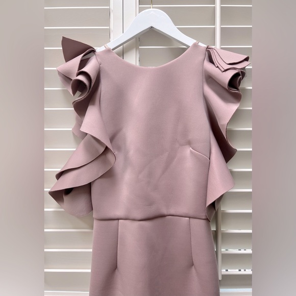 Pink Ruffle Dress - Picture 5 of 7